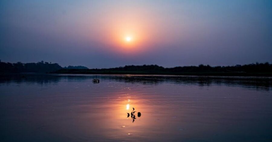 3-Day Chitwan Jungle Safari Adventure From Kathmandu/Pokhara - Price and Value at About $158 Per Person