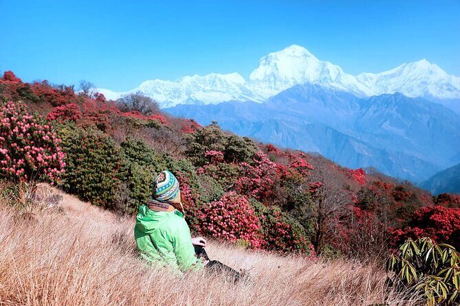 3 Days Ghorepani and Poonhill Private Trek from Pokhara - Comfort, Permits, and the Little Things That Save Headaches