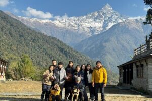 5 Day Mardi Himal Base Camp Trek in Pokhara - Price and Logistics: What $230 Actually Buys You