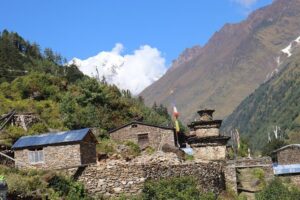 Annapurna Base Camp Trek (8 days) - Key highlights you’ll actually feel on the trek