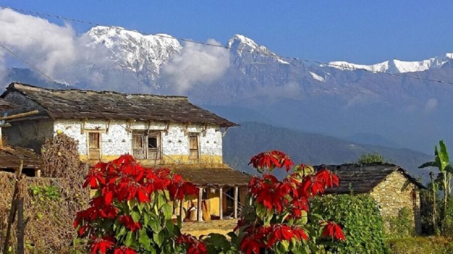 Australian Base Camp Hike For Sunrise over the Himalayas - Price and Value: What $64 Covers for a Morning with Annapurna Views