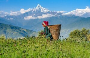 Day Hike at Annapurna Foothills - Kande to Australian Camp: where the uphill turns worth it