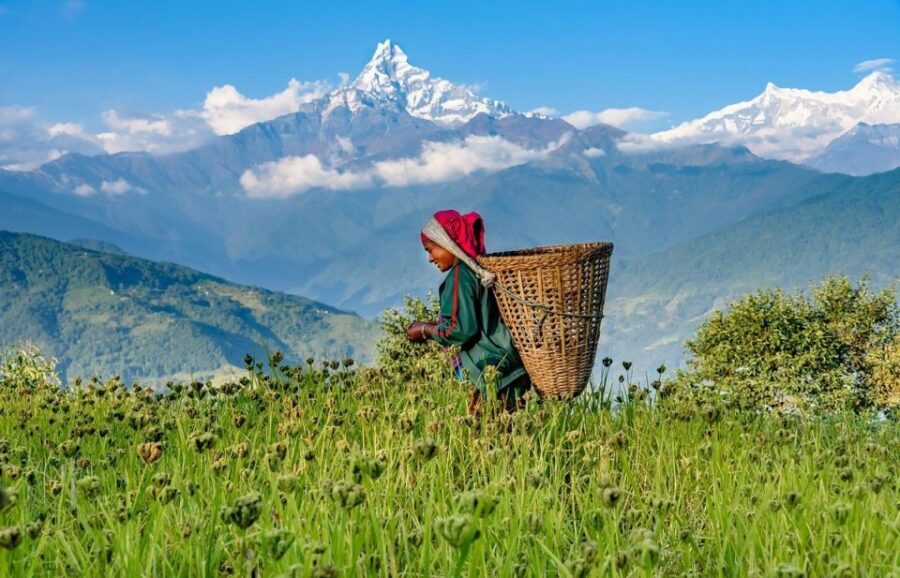 Day Hike at Annapurna Foothills - Kande to Australian Camp: where the uphill turns worth it