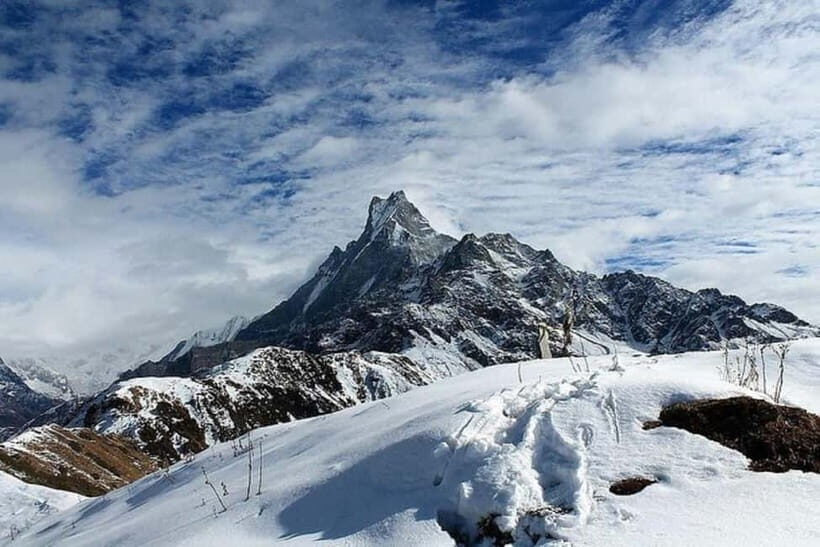 From Pokhara: 5-Day Mardi Himal Base Camp Trek - Day 2: rhododendron forests to Low Camp (the calm-building day)
