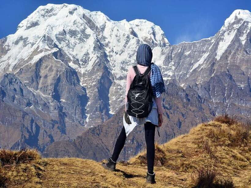 From Pokhara: 5-Day Mardi Himal Base Camp Trek - Day 4: High Camp → Mardi Himal Base Camp, then back to Low Camp
