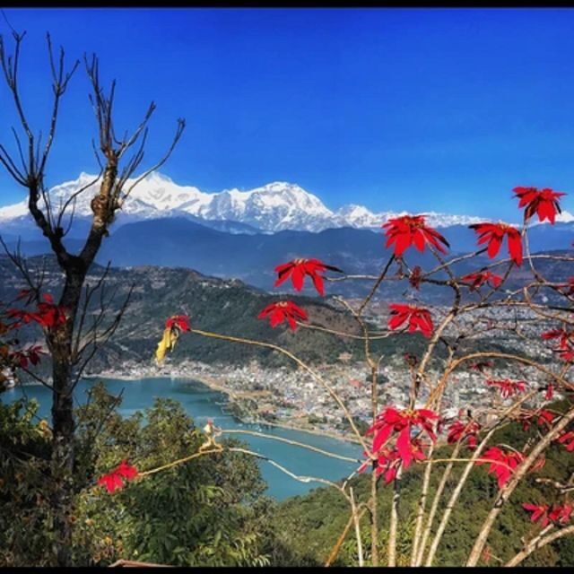 From Pokhara: Guided Tour to Visit 4 Himalayas View Point - Sarangkot sunrise: the timing you actually need