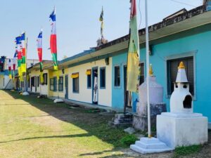 Full Day Tibetan Cultural Tour - Tashiling Tibetan Settlement: First Contact With Daily Life, Tea, and Lunch