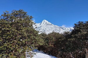 Mardi Himal Trek - Day 2: Forest Camp to High Camp, with Low Camp viewpoints