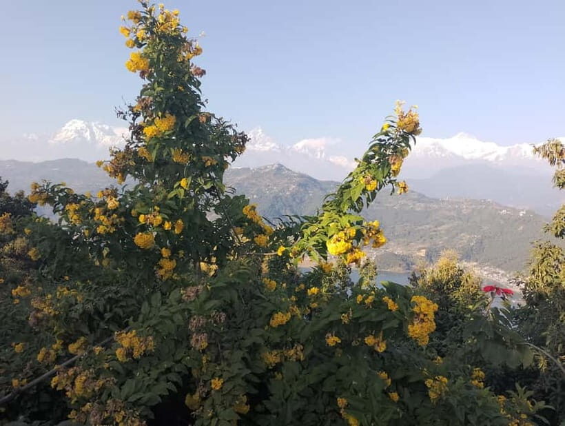 Peace & Panorama: Stupa and Pumdikot Scenic Drive Tour - How the 4 hours really work (and how to enjoy the pace)