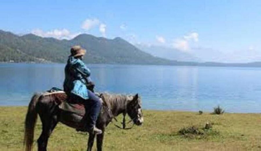 Pokhara: 1-Hour Horseback Ride with Hotel Pickup - Animal handling you can feel good about