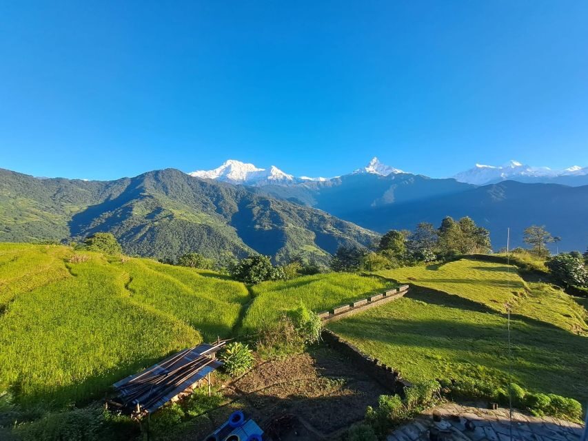 Pokhara: 2-Day Australian Camp & Dhampus Village Easy Hike - What Makes the Guides a Big Part of the Value