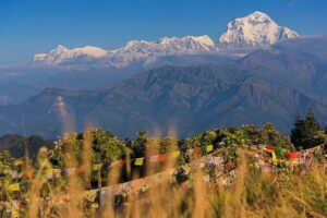 Pokhara 3 Days Ghorepani and Poon Hill Private Trek via Ghandruk - Day 2: Poon Hill Sunrise at 3,210m, Then the Push Down Toward Ghandruk
