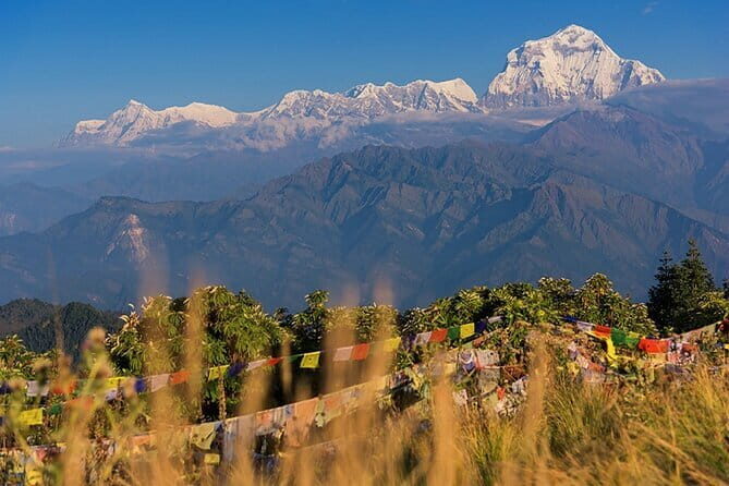 Pokhara 3 Days Ghorepani and Poon Hill Private Trek via Ghandruk - Day 2: Poon Hill Sunrise at 3,210m, Then the Push Down Toward Ghandruk