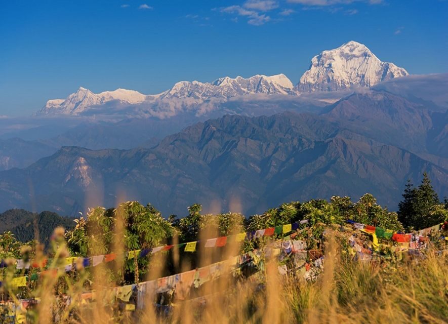 Pokhara: 4-Day Ghorepani, Poonhill & Ghandruk Village Trek - Day 4: Ghorepani back to Nayapool and the drive home to Pokhara