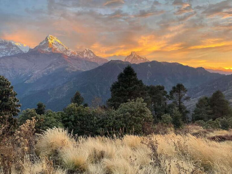 Pokhara: 4-Day Poon Hill and Ghandruk Guided Trek - Day 1: Pokhara to Ulleri via Naya Pul and the Modi River