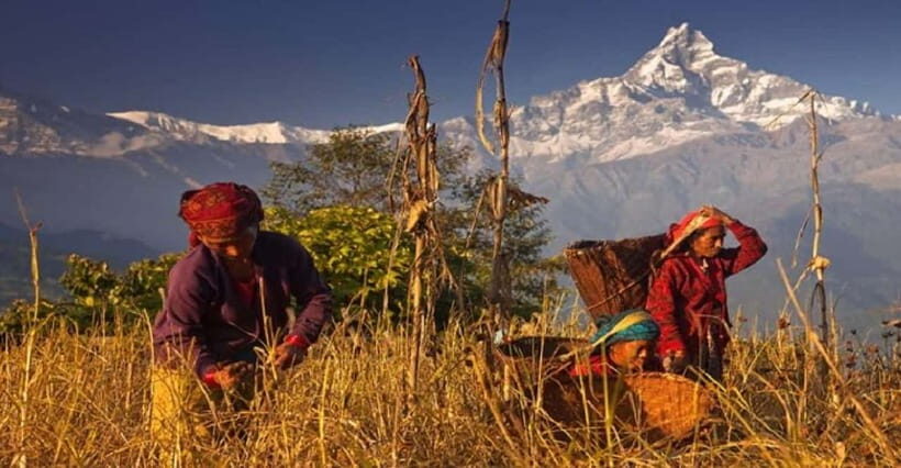 Pokhara: Annapurna Day Hike with Panoramic Views - Price and Value: What $50 Covers and Why It’s More Than a Discount Hike