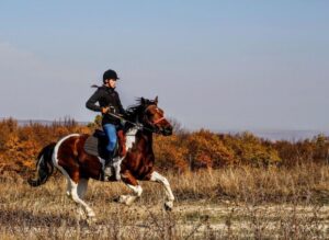 Pokhara: Horseback Adventure - The Real Timing: 2.5 Hours That Move at a Human Pace