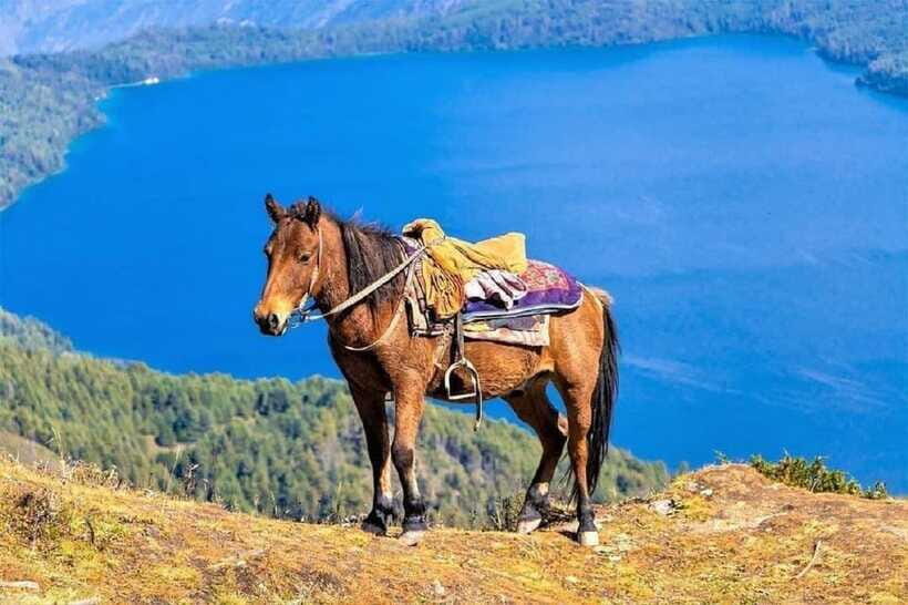Pokhara: Horseback Riding Adventure with Hotel Pickup - Route reality check: lake loop versus uphill climbs