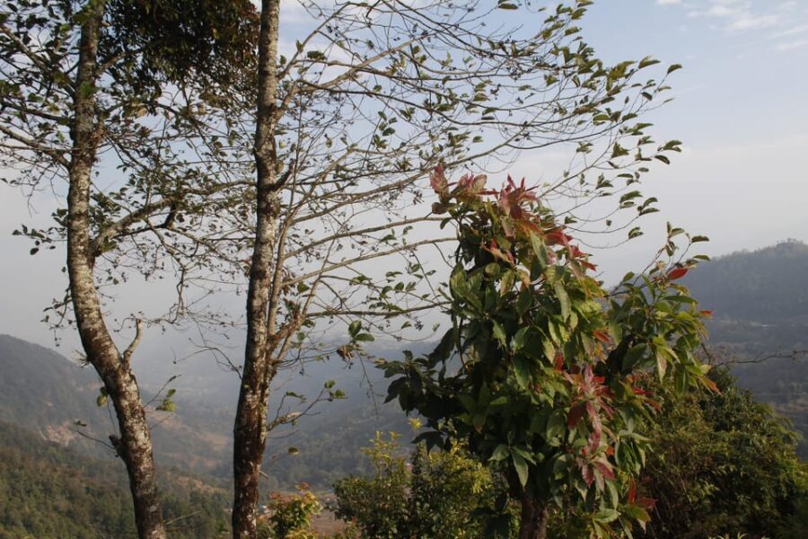 Pokhara: One night camping, campfire stay at Australian camp - Australian Camp: where the views do the talking