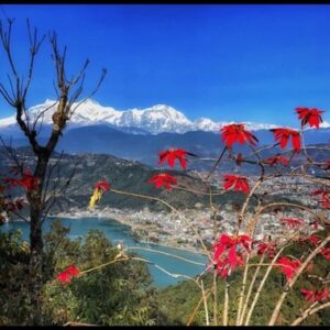 Pokhara: Pokhara Highlights Tour by Bus - Lakeside Rd 6 Pickup: Start Easy, Then Choose Your Own Speed