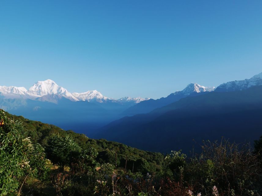 Pokhara:4-Day Ghorepani Poon Hill Guided Trek via Ghandruk - Key Things That Make This Trek Worth Your Time