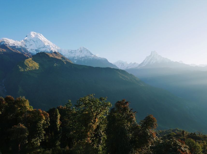 Pokhara:4-Day Ghorepani Poon Hill Guided Trek via Ghandruk - Day 3 (Ghorepani to Ghandruk via Tadapani): A Big Descent Through Jungle-Style Trail