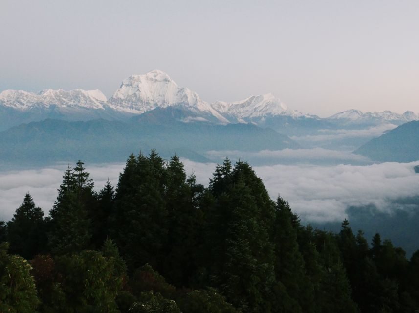 Pokhara:4-Day Ghorepani Poon Hill Guided Trek via Ghandruk - Day 4 (Ghandruk Morning to Nayapul to Pokhara): Sunrise Time and the Final Legs