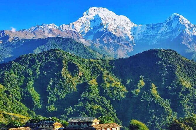 Poon Hill Ghandruk Circuit Trek from Pokhara 4 Days - Down to Ghandruk: Gurung village nights and lodge comfort
