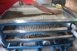 Sarangkot Village Coffee Culture and Authentic Local Life Tour - Getting to the trail: how the day starts near SalesBerry